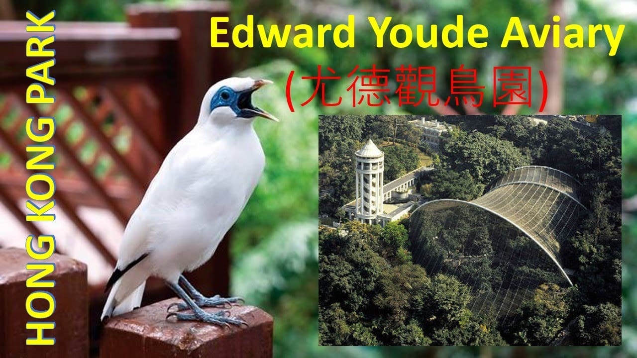 Hong Kong Park aviary