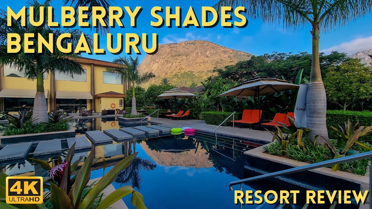 Mulberry Shades
