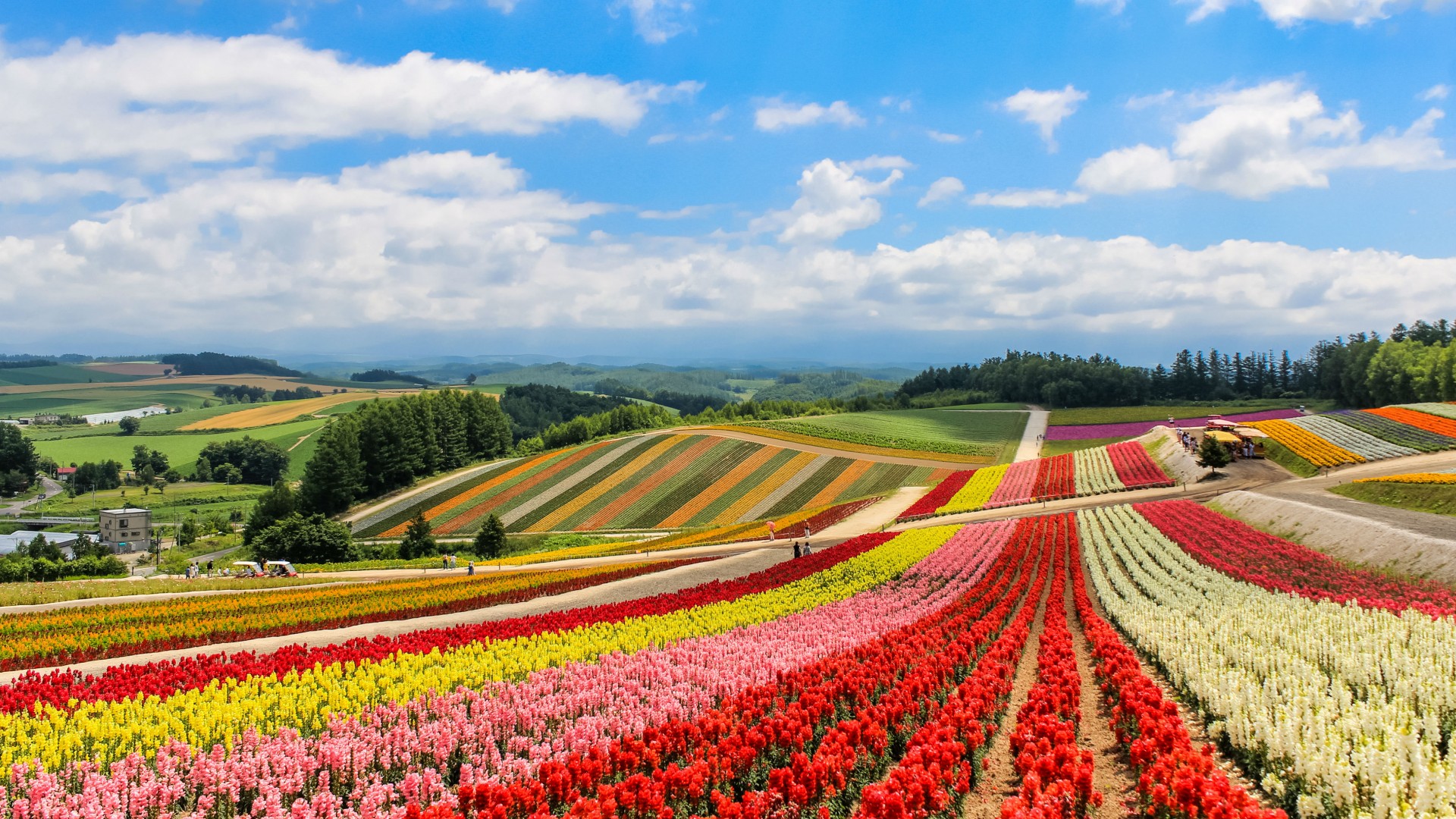 Hokkaido